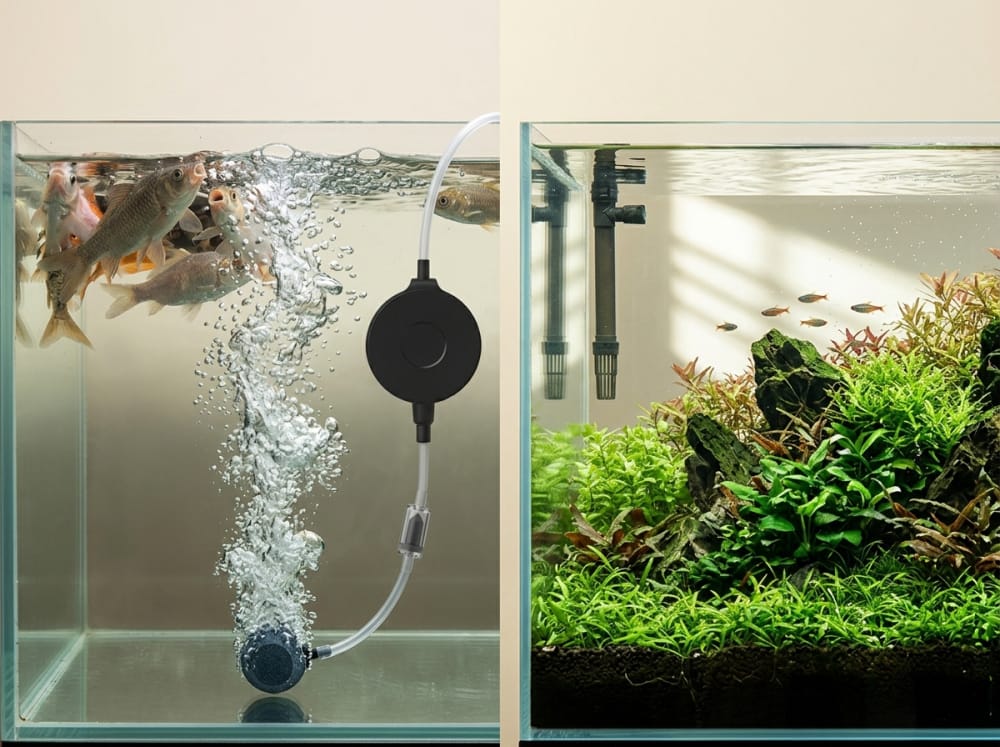 Wann Luftpumpen in Aquarien in Deutschland sinnvoll sind — supporting aquarium detail