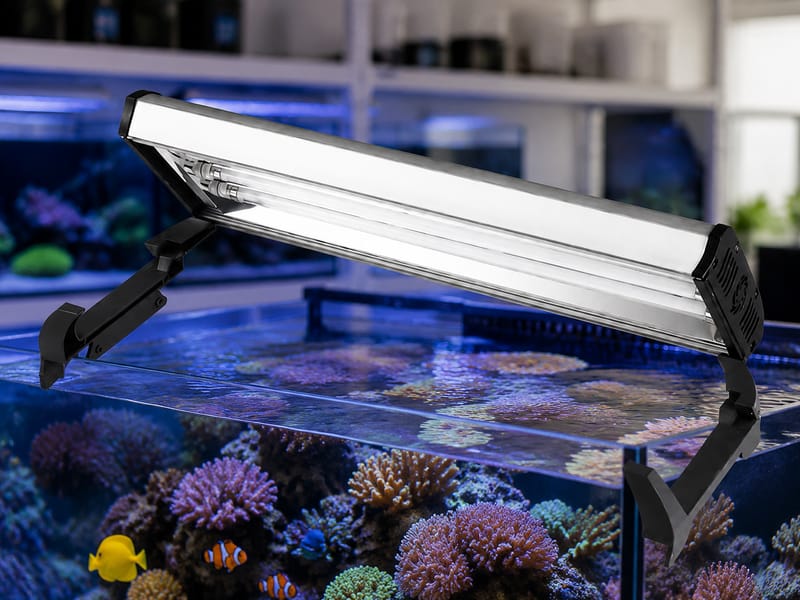 T5 HO Aquarium Lights Wholesale: Einkauf sicher planen: aquarium guide image 1