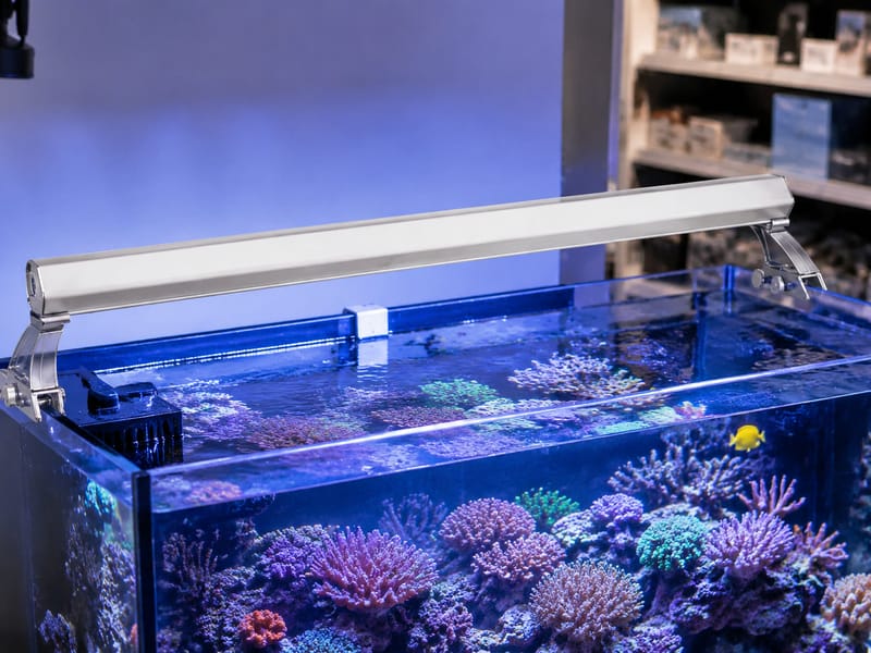 T5 HO Aquarium Lights Wholesale: Einkauf sicher planen — practical setup example