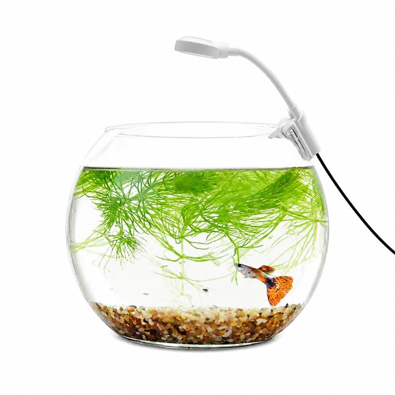Funktionsbild der WK008 6500K Clip-On Aquarium Light, Modell WK008, für Vertriebs- und Beschaffungsteams im Bereich Aquarientechnik