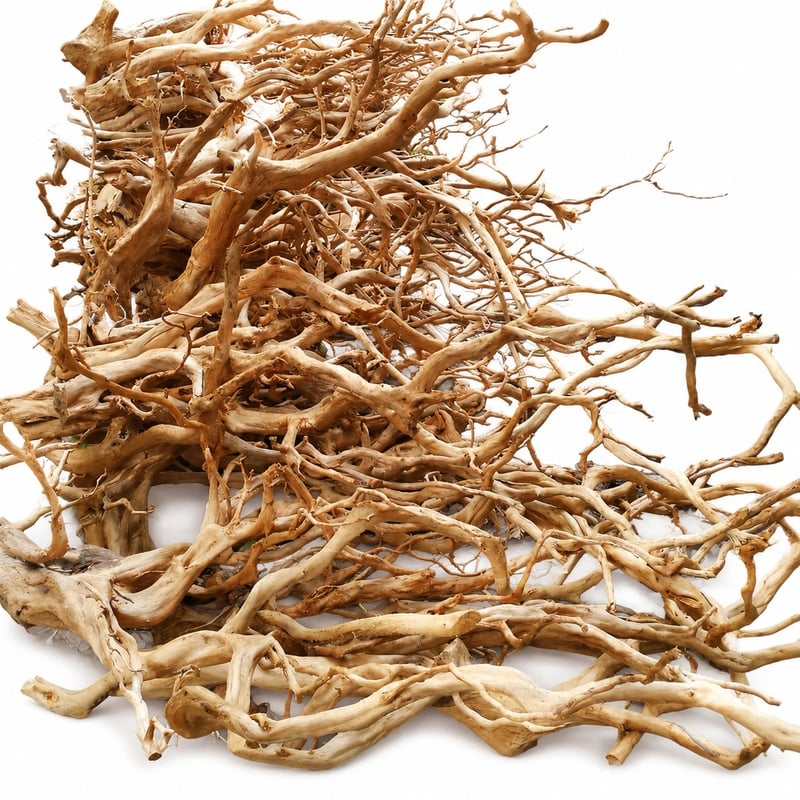 WK018 Azalea Root Driftwood Modell WK018 Leistungsbild für Aquarien-Aquascaping-Dekor-Händler und Beschaffungsteams