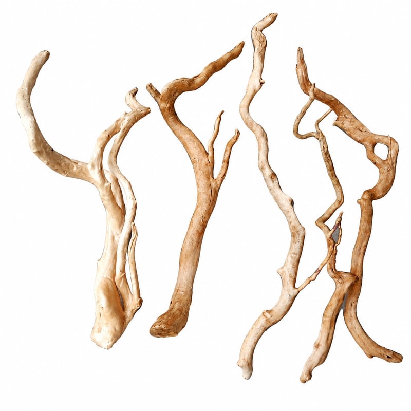 WK018 Azalea Root Driftwood Modell WK018 Vorteile-Bild für Aquarien-Aquascaping-Dekor-Händler und Beschaffungsteams
