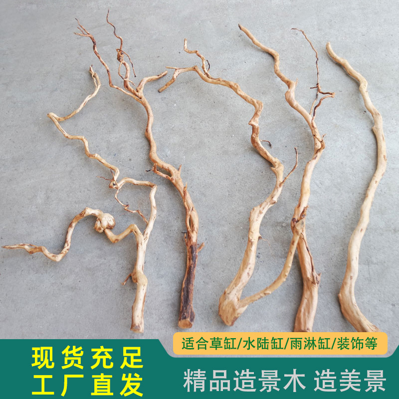 WK018 Azalea Root Driftwood Modell WK018 Detailbild 7 für Großhandels- und OEM-Käufer von Aquarien-Aquascaping-Dekor