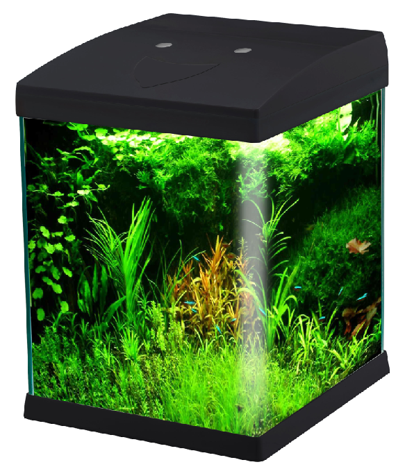 Leistungsbild des randlosen Mini-Glas-Aquariums WK072 mit LED-Beleuchtung, Modell WK072, für Aquarien-Distributoren und Beschaffungsteams