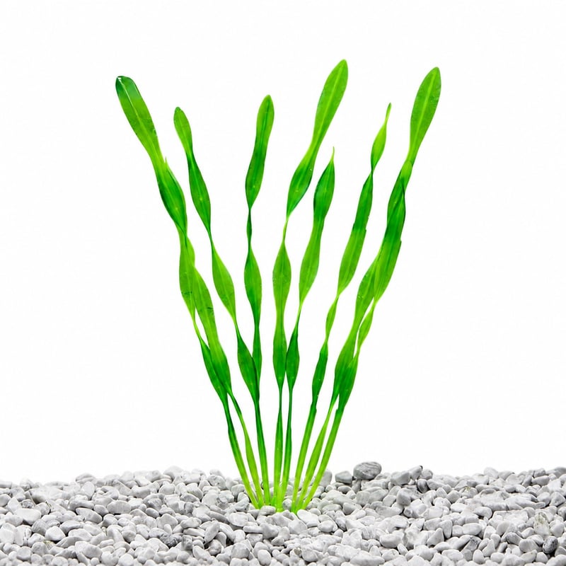 Künstliche Aquarienpflanzen WK105 für Fischbecken, Funktionsbild des Modells WK105 für Händler und Beschaffungsteams von Aquascaping-Dekoration