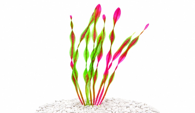 Detailbild 5 der künstlichen Aquarienpflanzen WK105 für Fischbecken, Modell WK105, für den Großhandel mit Aquascaping-Dekoration und OEM-Käufer