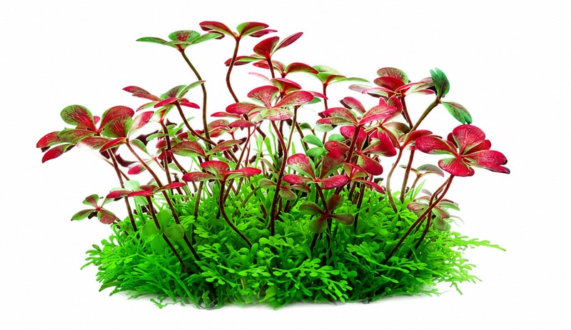 Detailbild 6 der künstlichen Aquarienpflanzen WK105 für Fischbecken, Modell WK105, für den Großhandel mit Aquascaping-Dekoration und OEM-Käufer