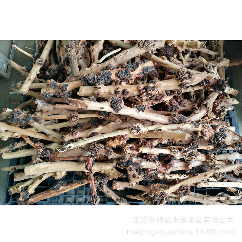 Detailbild 12 von WK110 Natural Root Wood Decor, Modell WK110, für Aquarien-Aquascaping-Dekor im Großhandel und für OEM-Einkäufer
